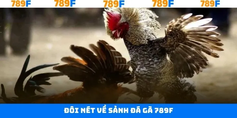 Nội dung giới thiệu về đá gà 789F