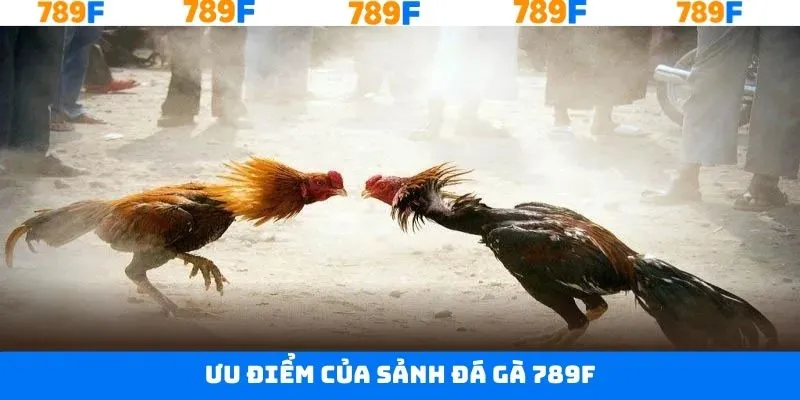 Xem trực tiếp toàn trận, cảm giác như tại sàn đấu