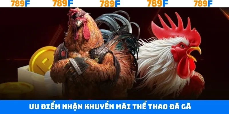 Khuyến mãi thể thao đá gà và tỷ lệ thắng cao